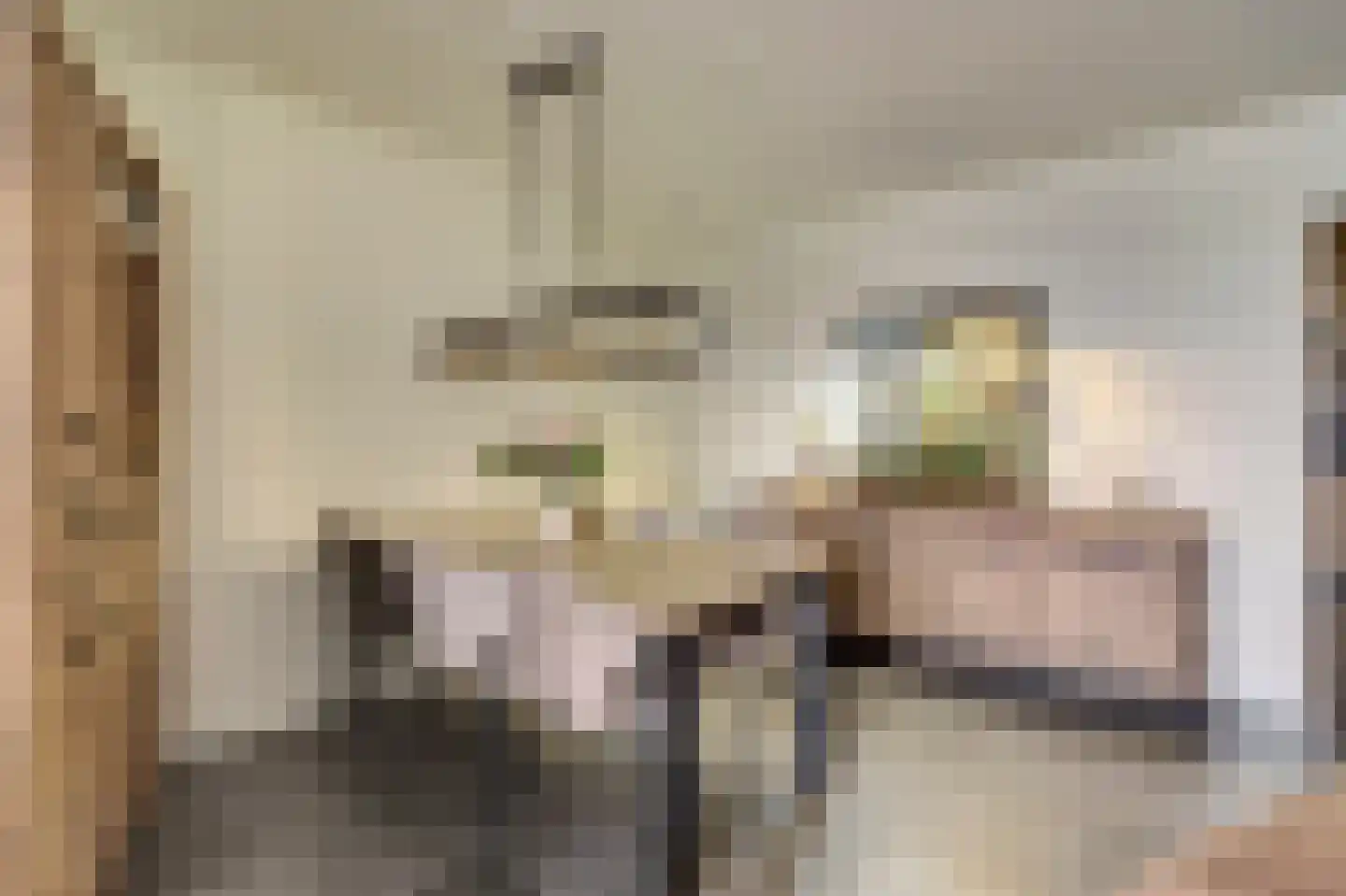 Dokter van Stratenweg 237 Gorinchem thumbnail 21
