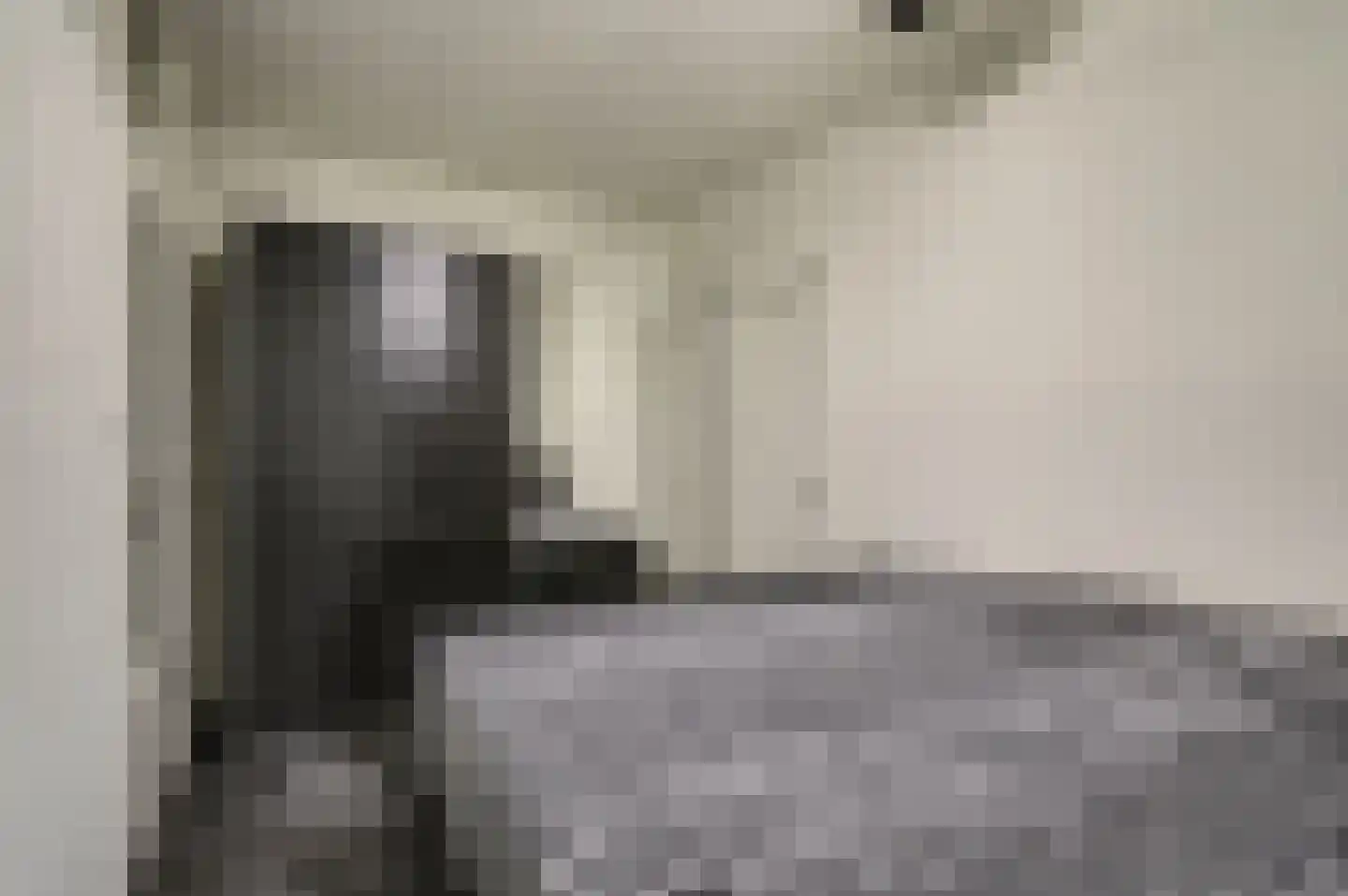Dokter van Stratenweg 237 Gorinchem thumbnail 21