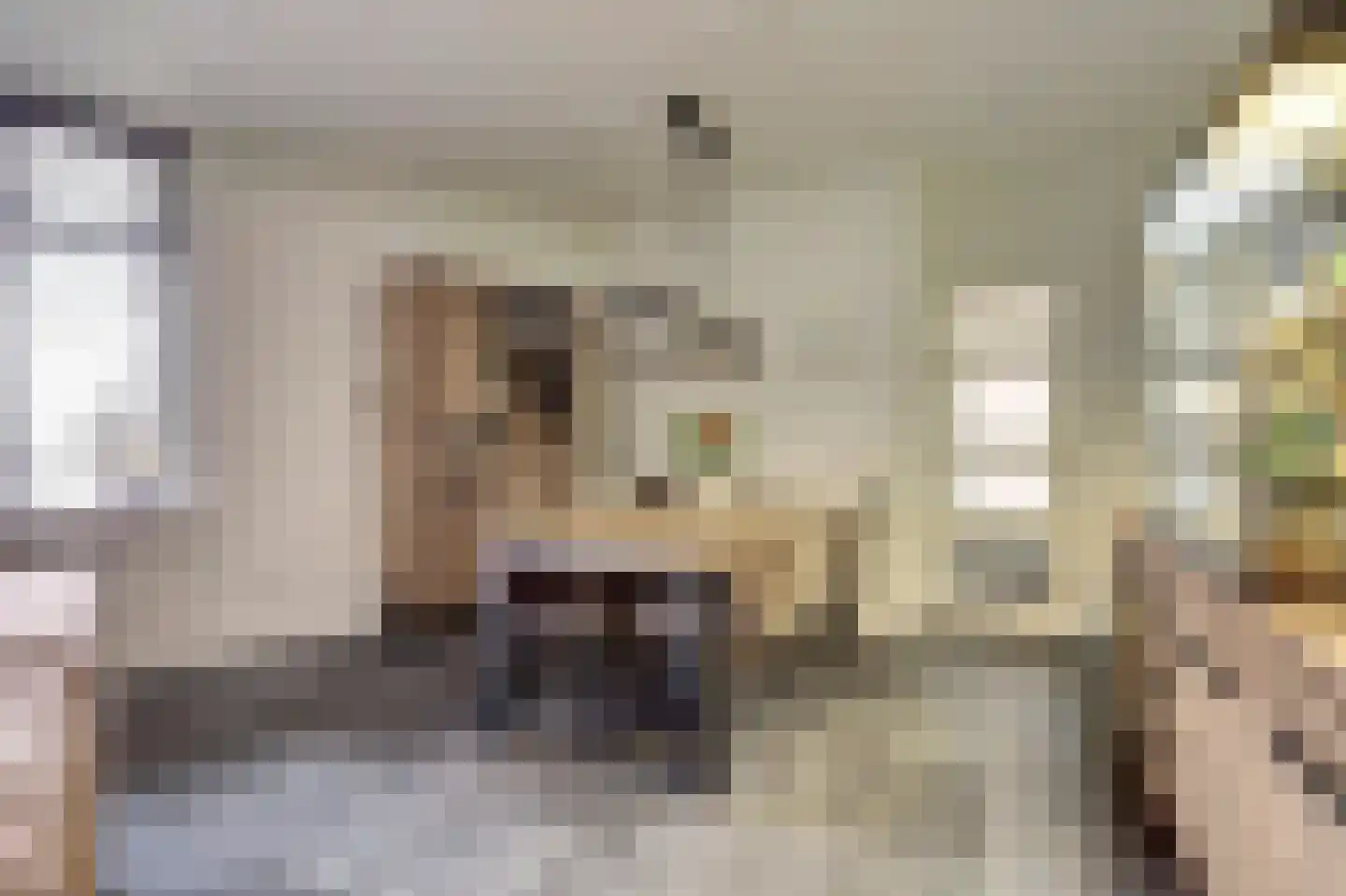 Dokter van Stratenweg 237 Gorinchem thumbnail 22
