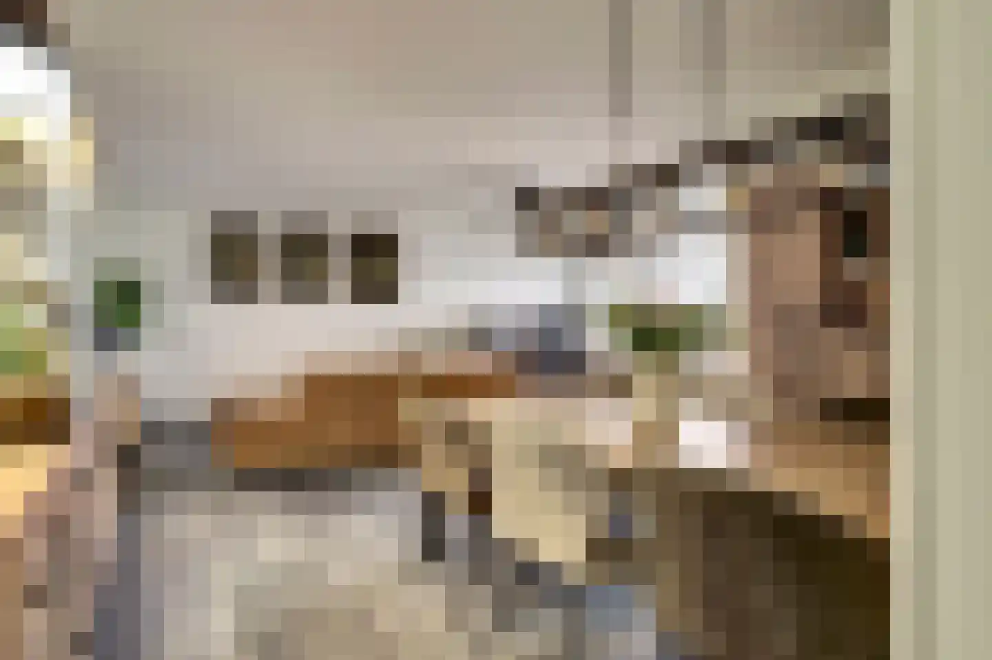 Dokter van Stratenweg 237 Gorinchem thumbnail 23