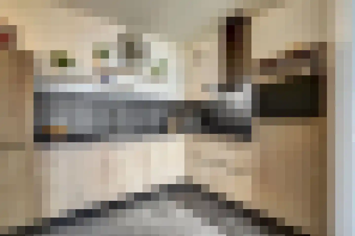 Dokter van Stratenweg 237 Gorinchem thumbnail 24