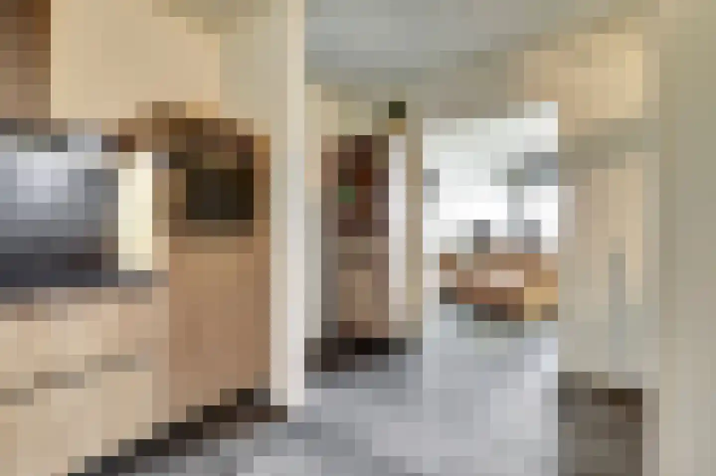 Dokter van Stratenweg 237 Gorinchem thumbnail 25