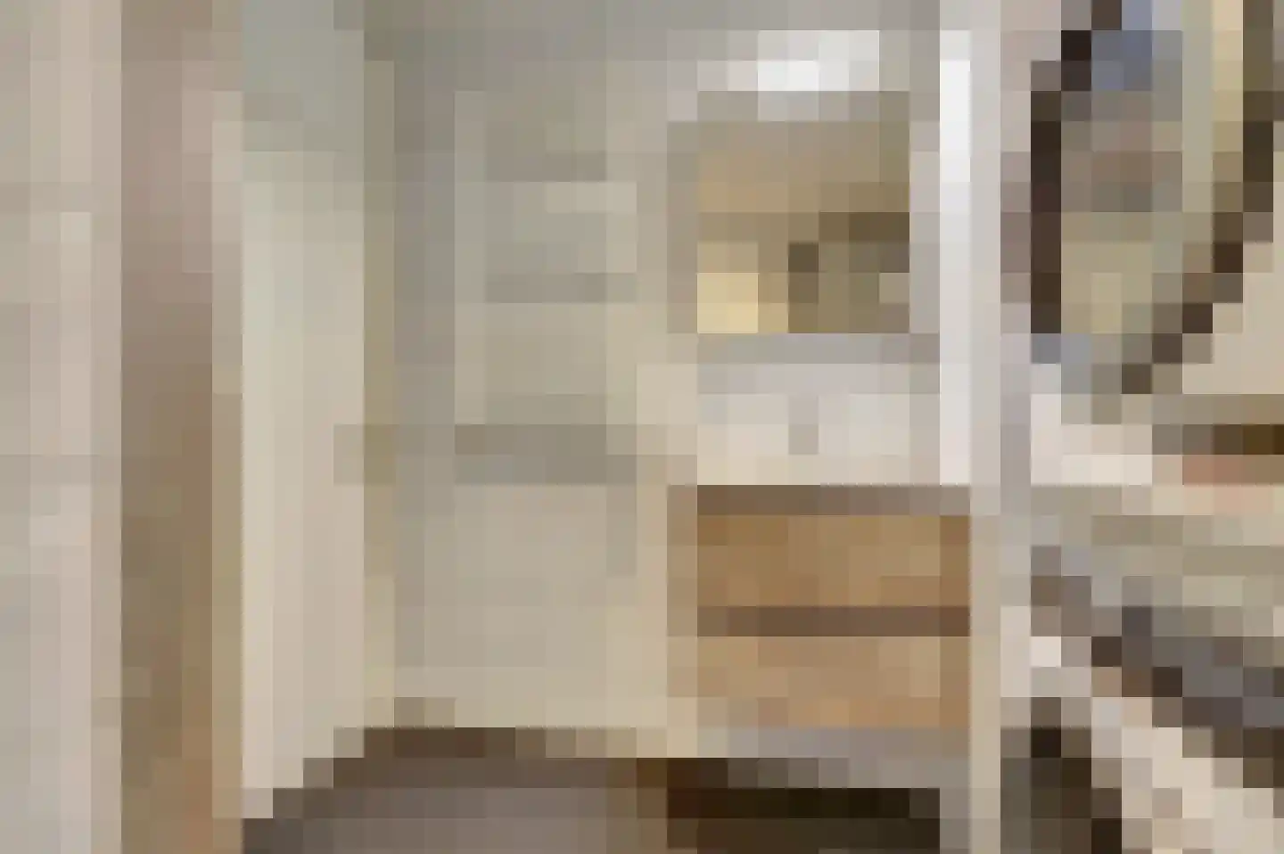 Dokter van Stratenweg 237 Gorinchem thumbnail 28
