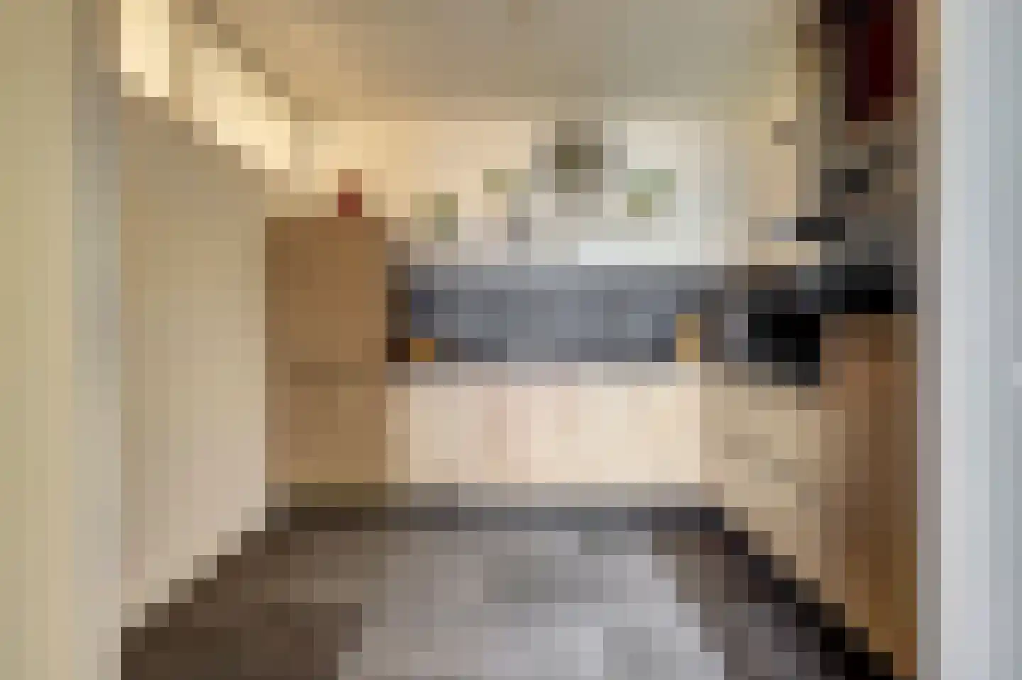 Dokter van Stratenweg 237 Gorinchem foto 3