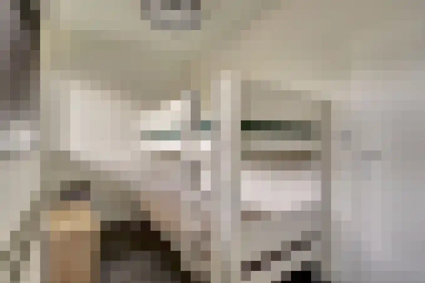 Dokter van Stratenweg 237 Gorinchem thumbnail 35