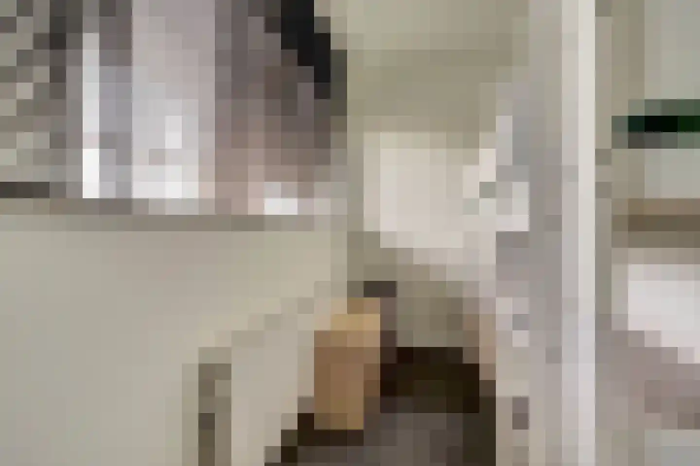 Dokter van Stratenweg 237 Gorinchem thumbnail 36