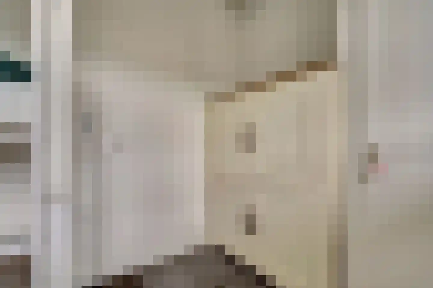 Dokter van Stratenweg 237 Gorinchem thumbnail 37