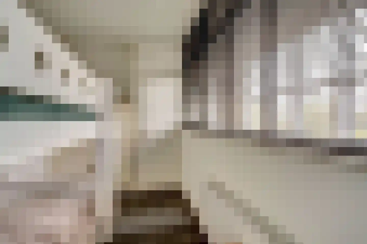 Dokter van Stratenweg 237 Gorinchem thumbnail 38