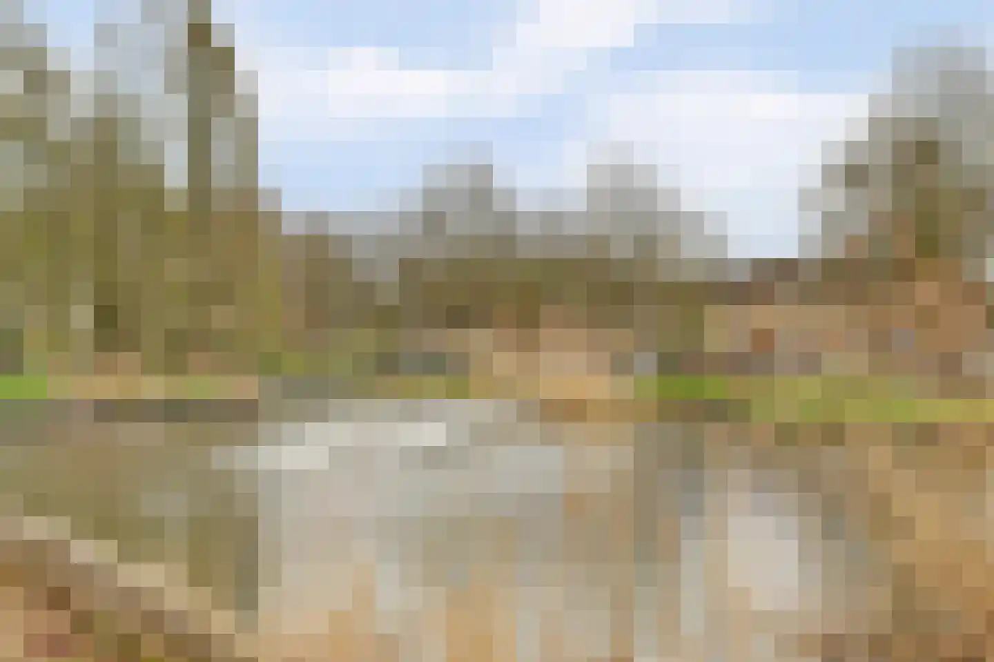 Dokter van Stratenweg 237 Gorinchem thumbnail 4