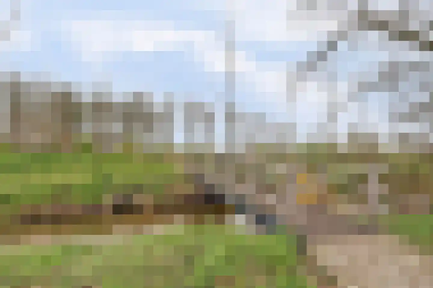 Dokter van Stratenweg 237 Gorinchem thumbnail 41