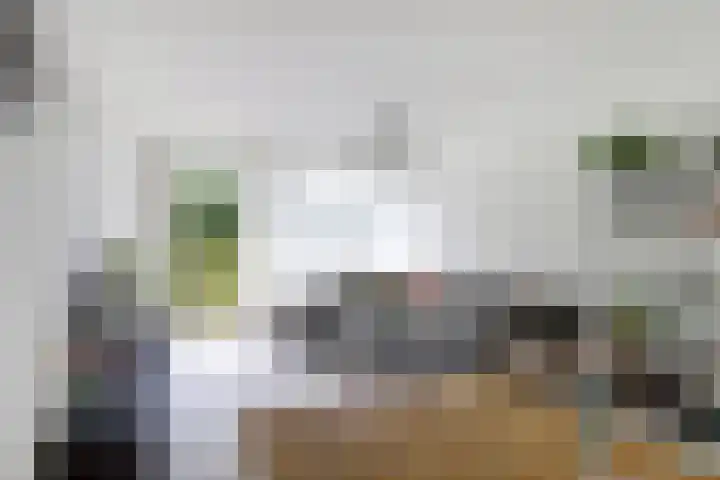 Dokter van Stratenweg 241 Gorinchem thumbnail 11