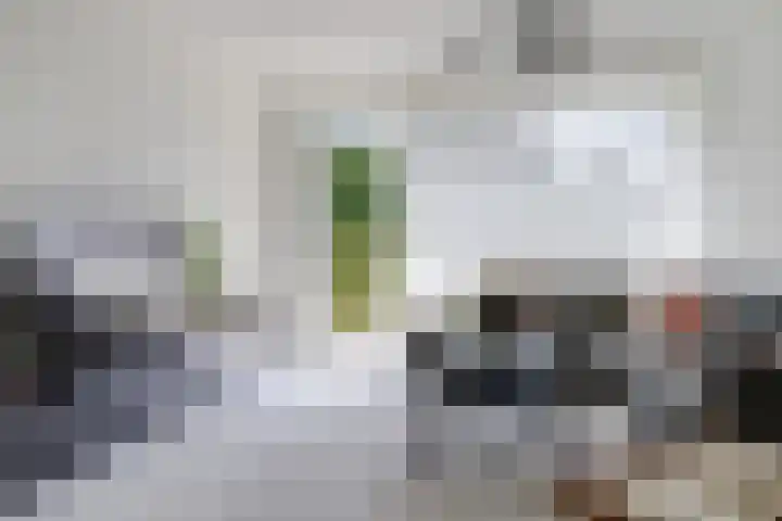 Dokter van Stratenweg 241 Gorinchem thumbnail 13