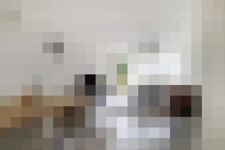 Dokter van Stratenweg 241 Gorinchem thumbnail 15