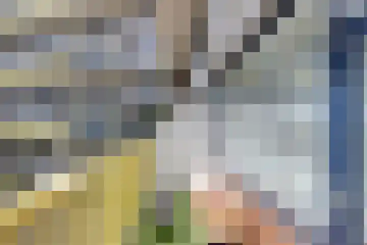 Dokter van Stratenweg 241 Gorinchem thumbnail 16