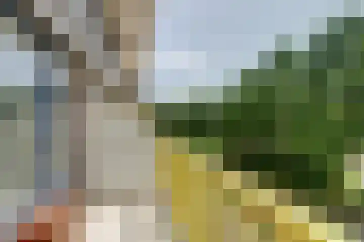 Dokter van Stratenweg 241 Gorinchem thumbnail 17