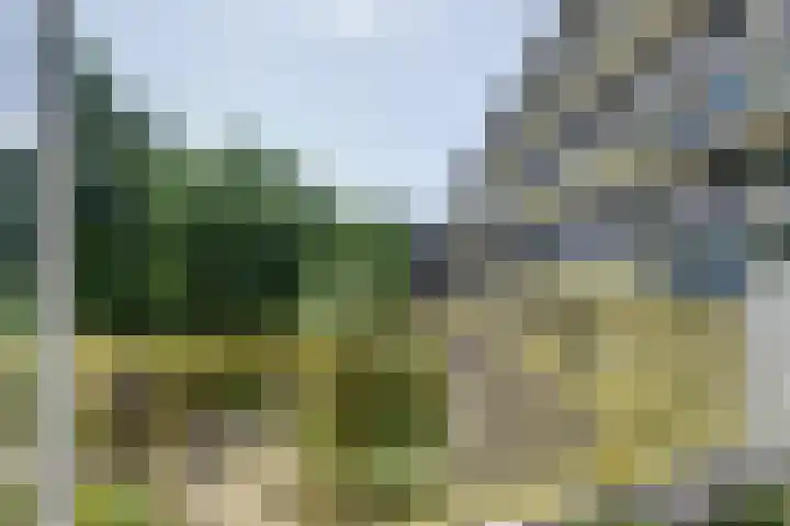 Dokter van Stratenweg 241 Gorinchem thumbnail 19