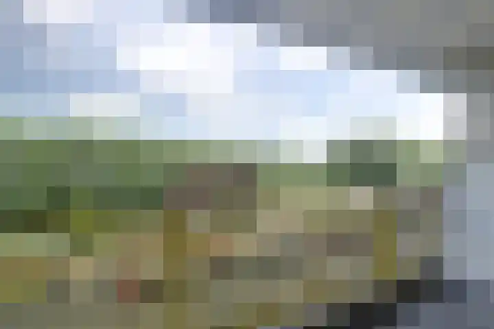 Dokter van Stratenweg 241 Gorinchem thumbnail 26