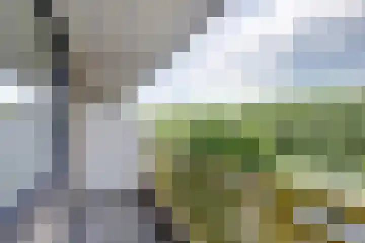 Dokter van Stratenweg 241 Gorinchem thumbnail 27