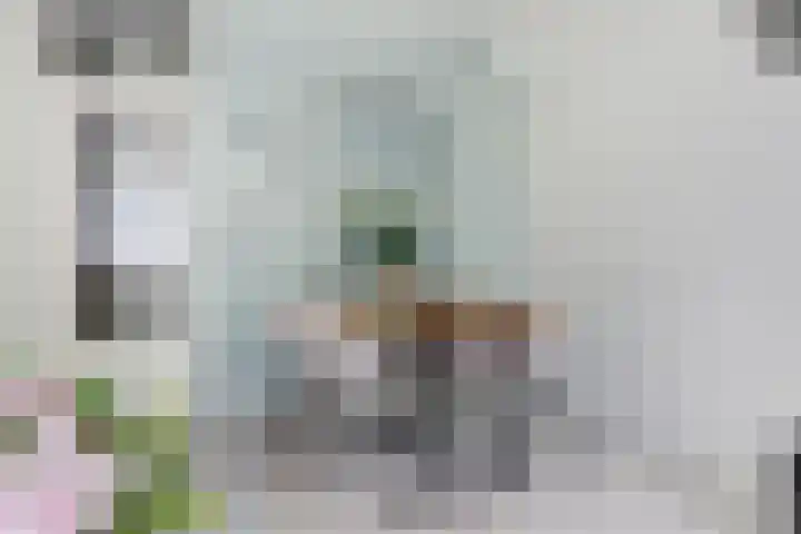 Dokter van Stratenweg 241 Gorinchem foto 3