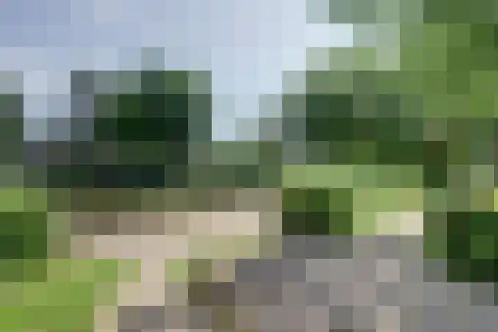 Dokter van Stratenweg 241 Gorinchem thumbnail 37