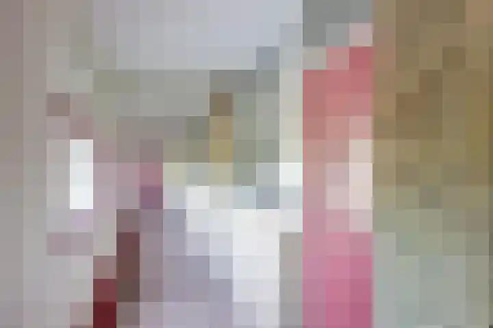 Dokter van Stratenweg 241 Gorinchem thumbnail 5
