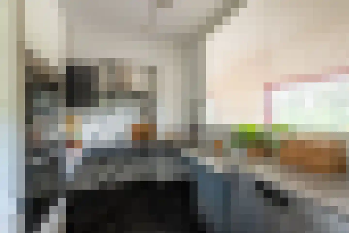 Dokter van Stratenweg 242 Gorinchem thumbnail 10