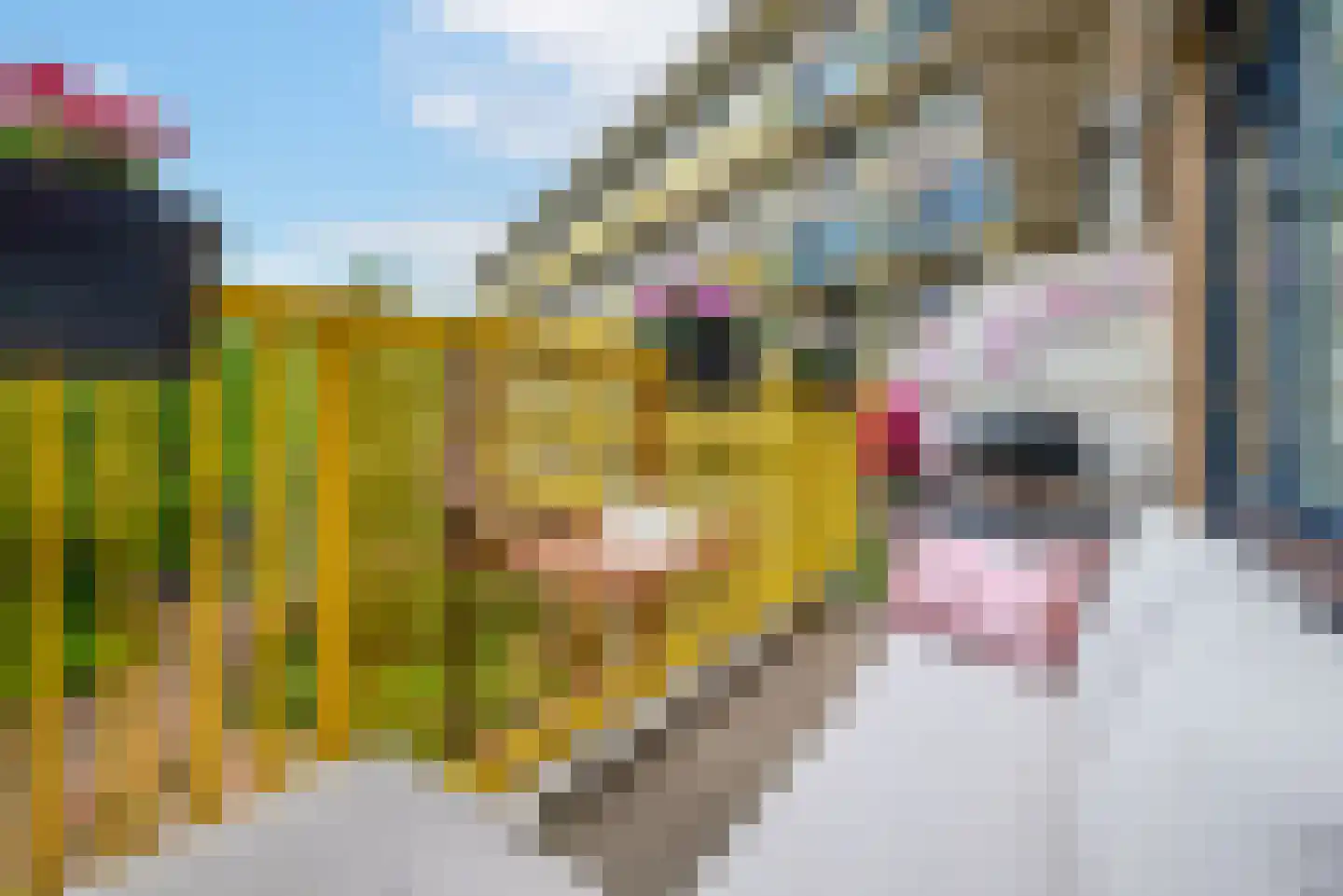 Dokter van Stratenweg 242 Gorinchem thumbnail 8