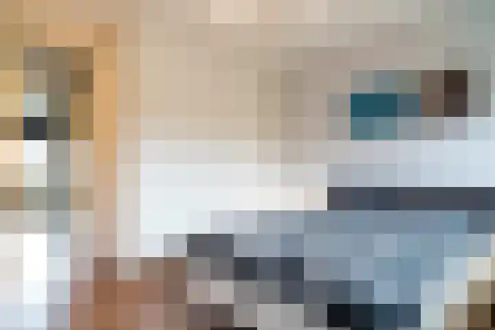 Dokter van Stratenweg 249 Gorinchem thumbnail 16
