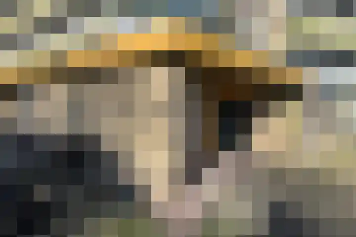 Dokter van Stratenweg 249 Gorinchem thumbnail 23