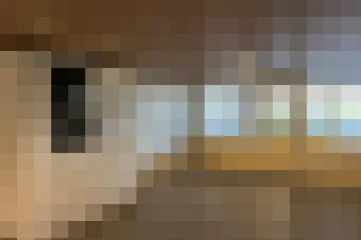 Dokter van Stratenweg 249 Gorinchem thumbnail 29