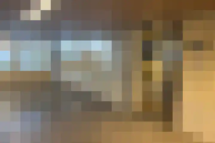 Dokter van Stratenweg 249 Gorinchem thumbnail 30