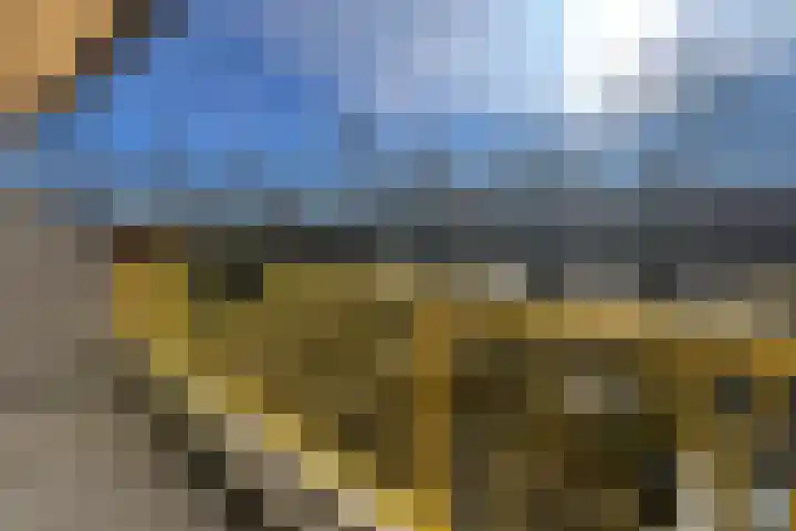 Dokter van Stratenweg 249 Gorinchem thumbnail 4