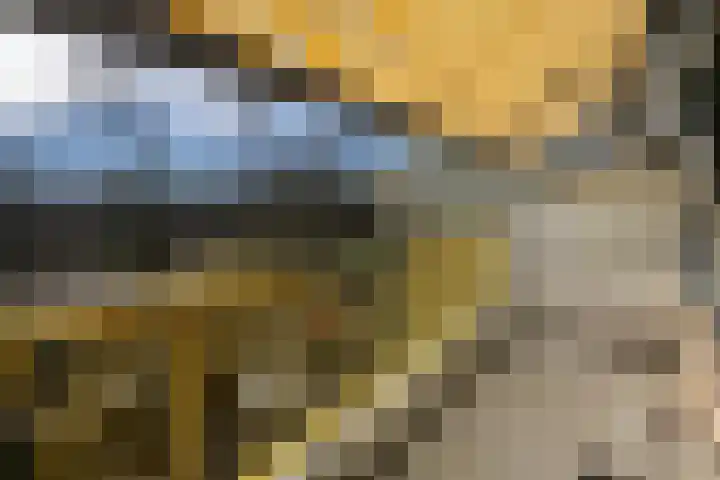 Dokter van Stratenweg 249 Gorinchem thumbnail 5