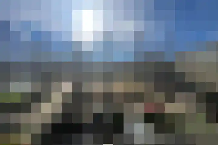 Dokter van Stratenweg 249 Gorinchem thumbnail 6