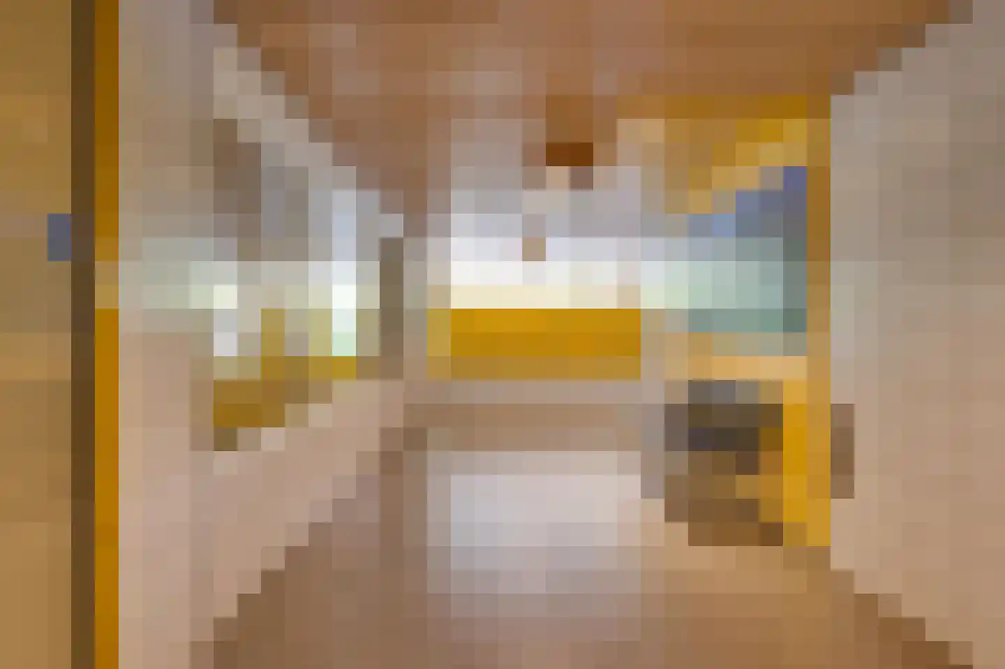 Dokter van Stratenweg 252 Gorinchem thumbnail 27