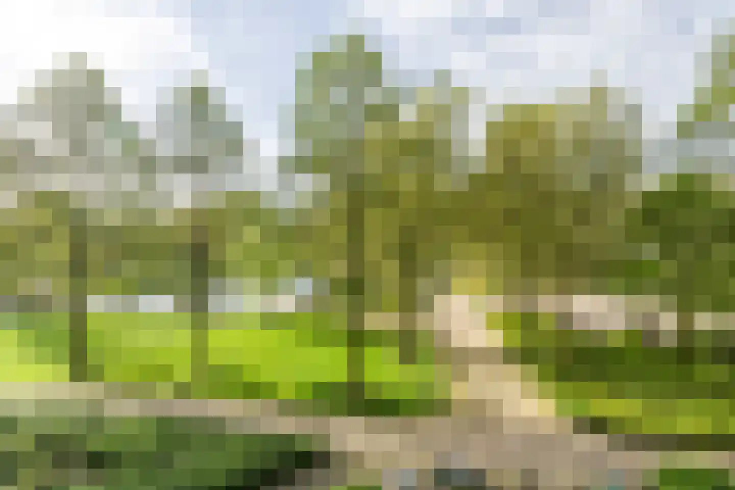 Dokter van Stratenweg 252 Gorinchem thumbnail 8