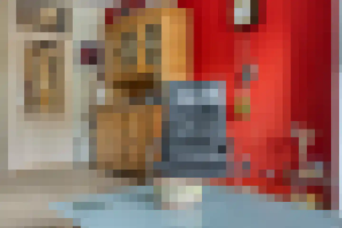 Dokter van Stratenweg 254 Gorinchem thumbnail 13