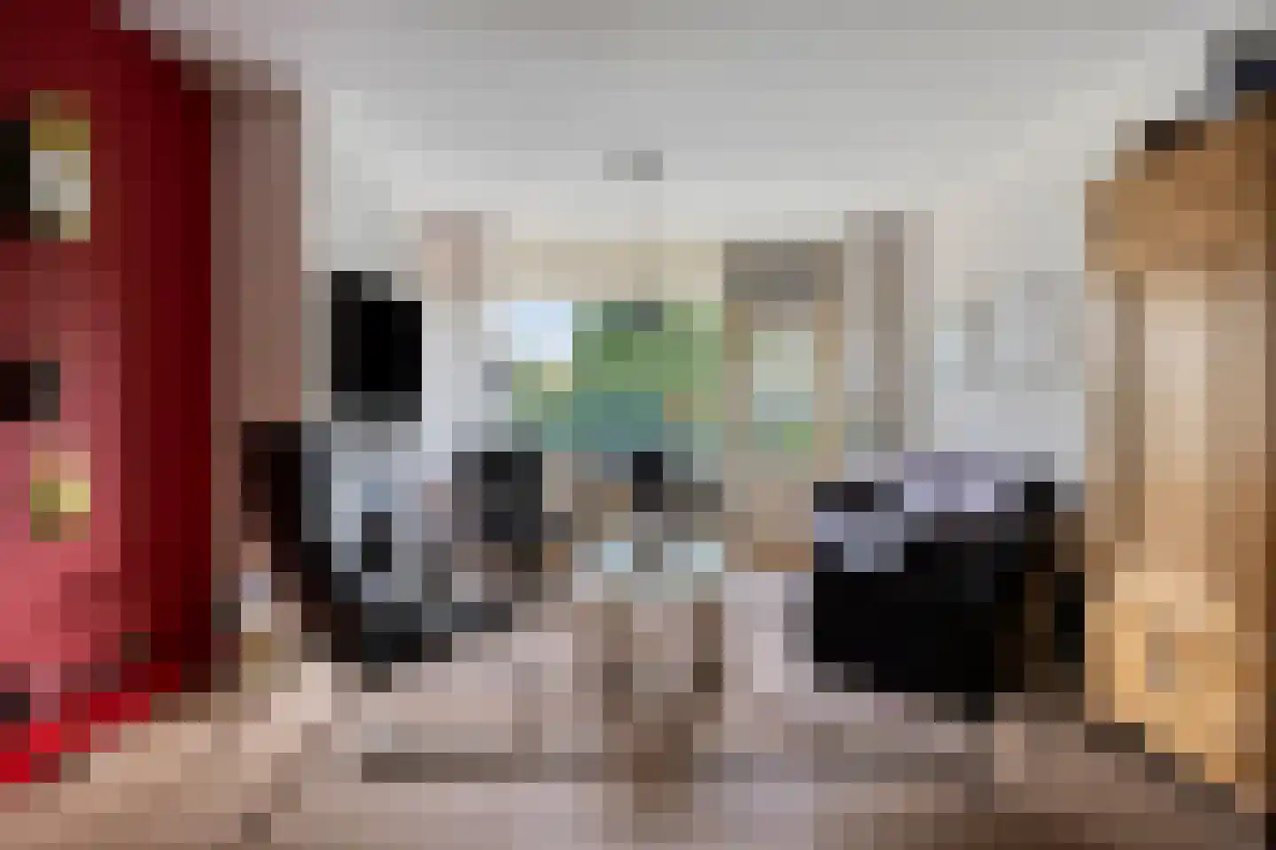 Dokter van Stratenweg 254 Gorinchem foto 2