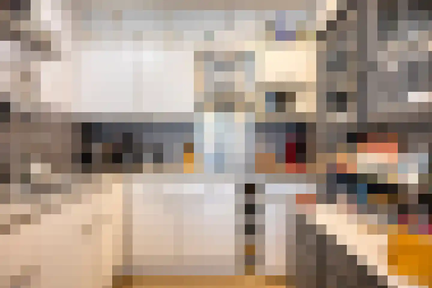 Dokter van Stratenweg 254 Gorinchem thumbnail 21