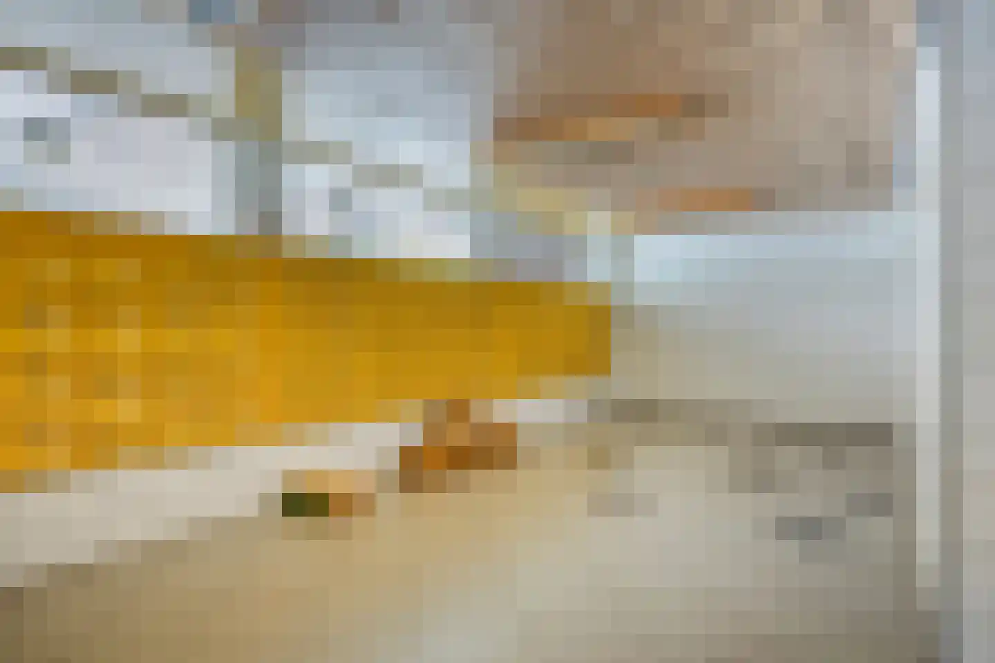 Dokter van Stratenweg 254 Gorinchem thumbnail 32