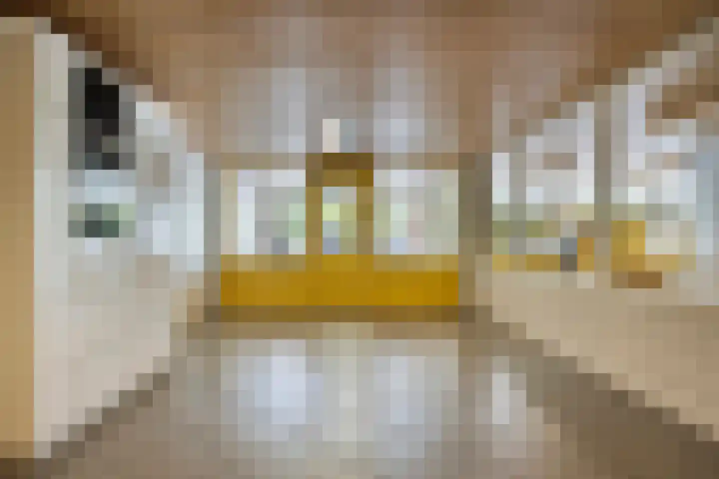 Dokter van Stratenweg 254 Gorinchem thumbnail 34