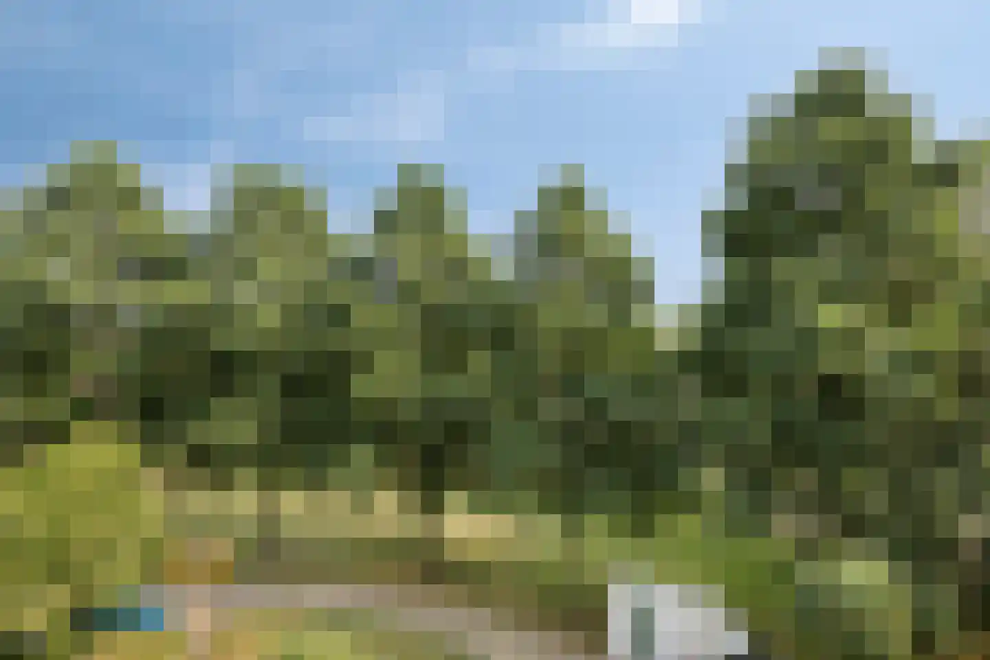 Dokter van Stratenweg 254 Gorinchem thumbnail 35