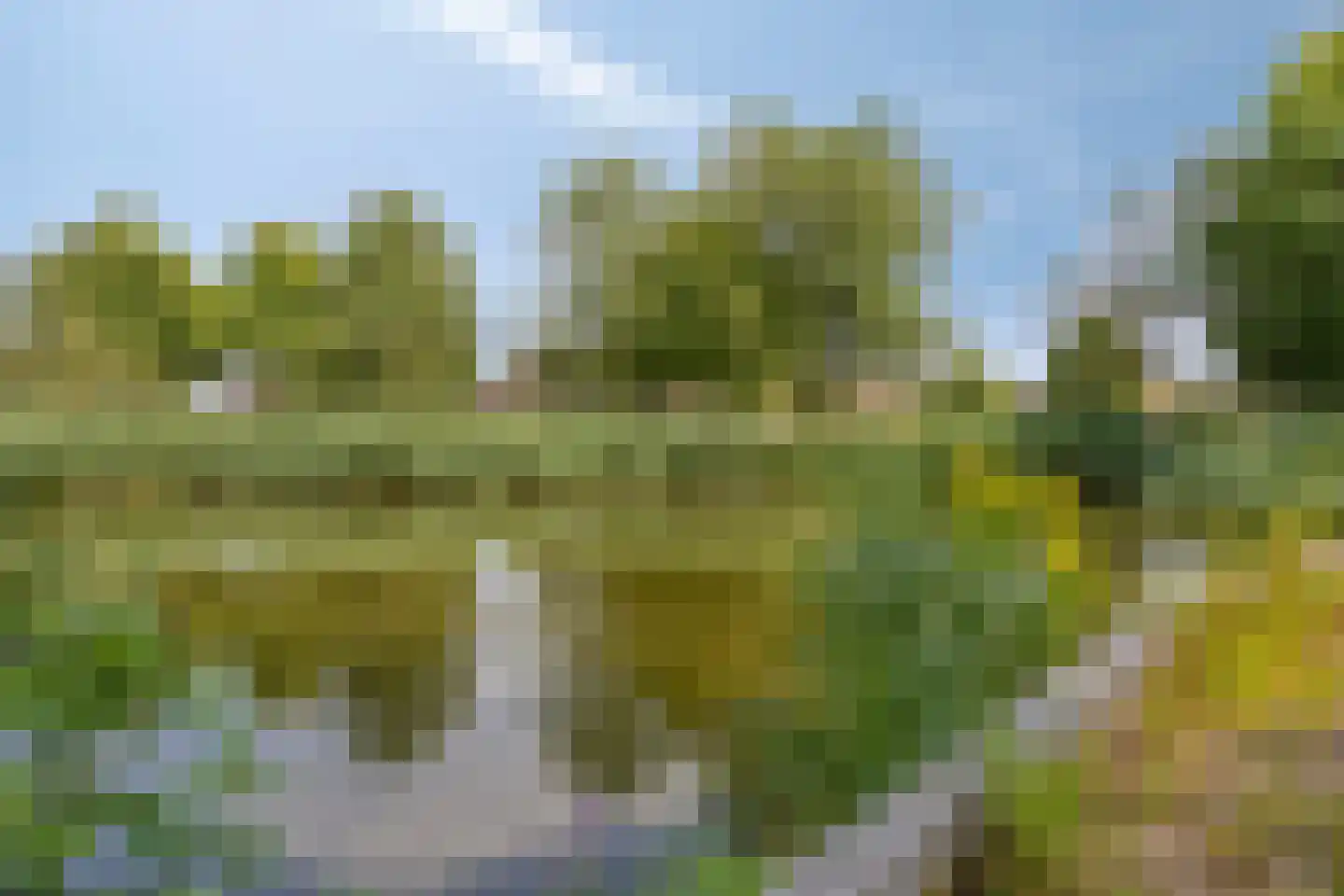 Dokter van Stratenweg 254 Gorinchem thumbnail 37