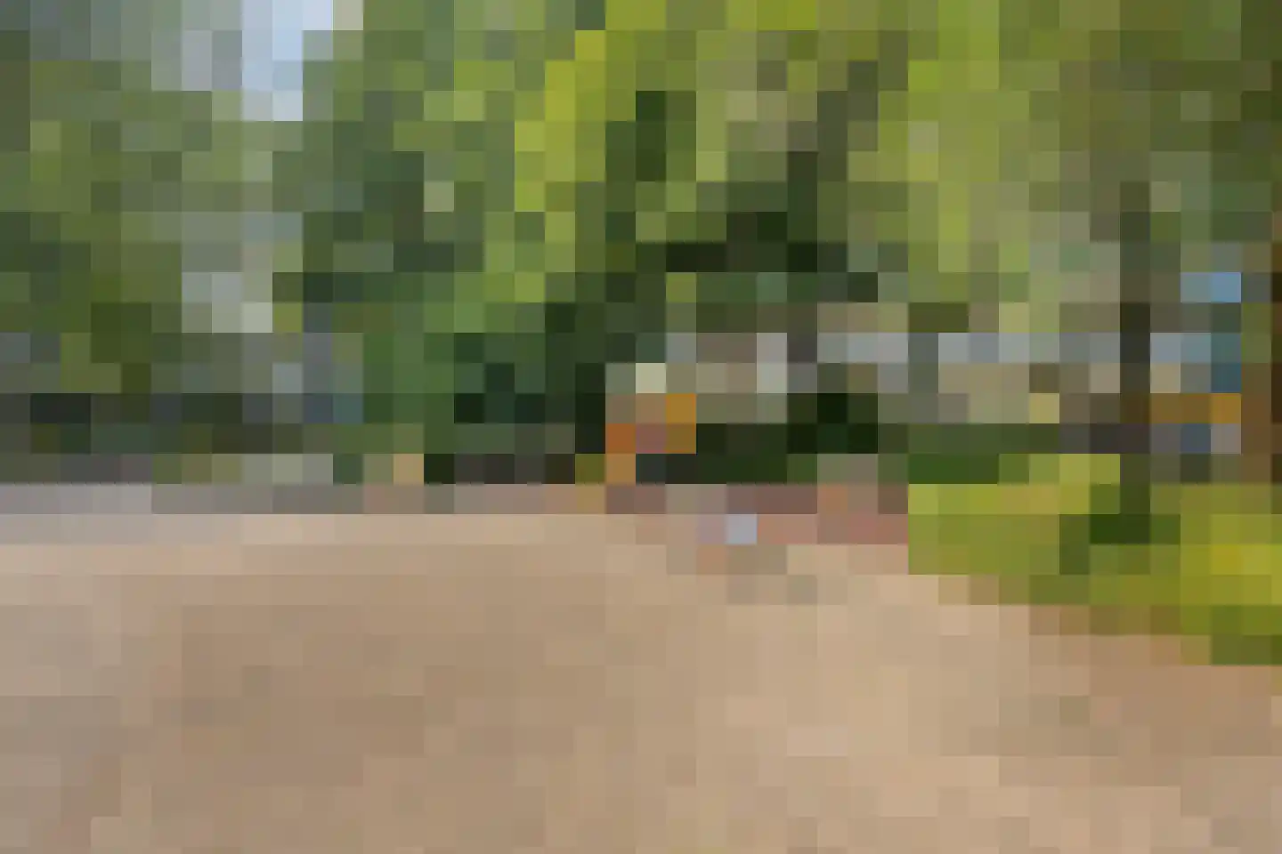 Dokter van Stratenweg 254 Gorinchem thumbnail 38