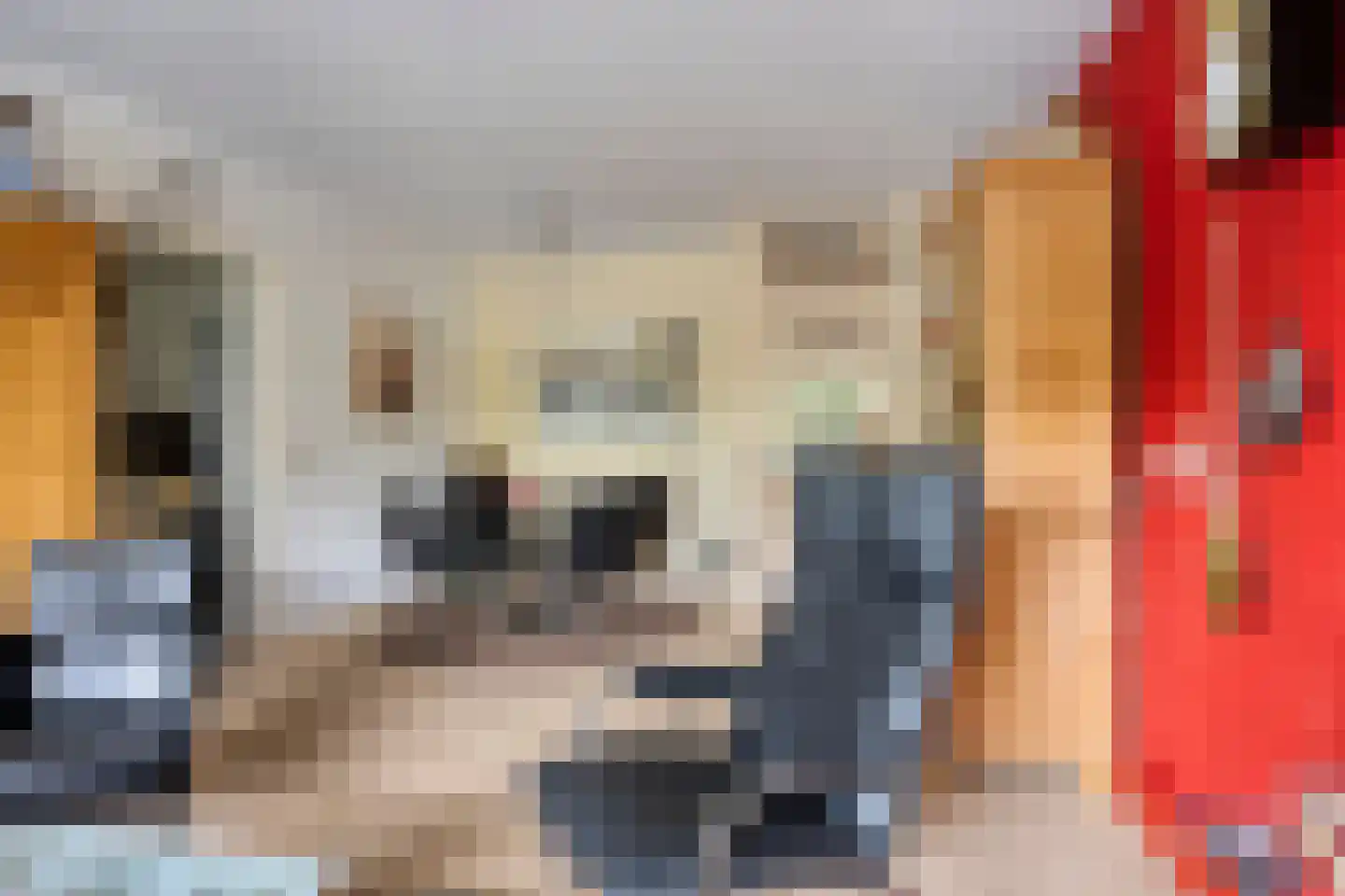 Dokter van Stratenweg 254 Gorinchem thumbnail 8