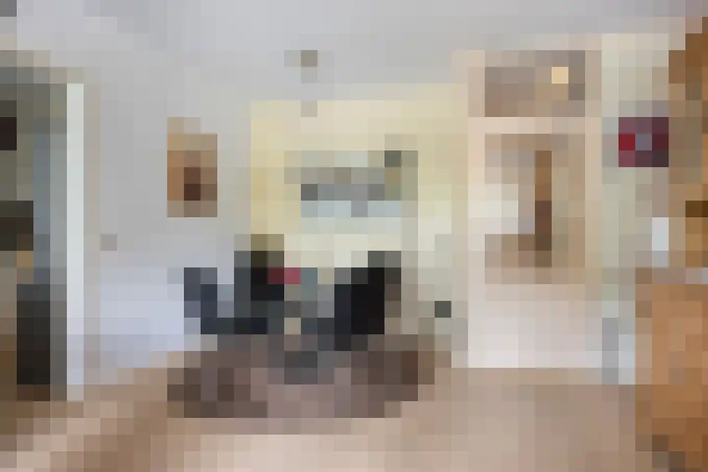 Dokter van Stratenweg 254 Gorinchem thumbnail 9