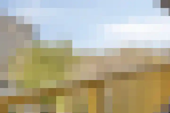 Dokter van Stratenweg 318 Gorinchem thumbnail 30