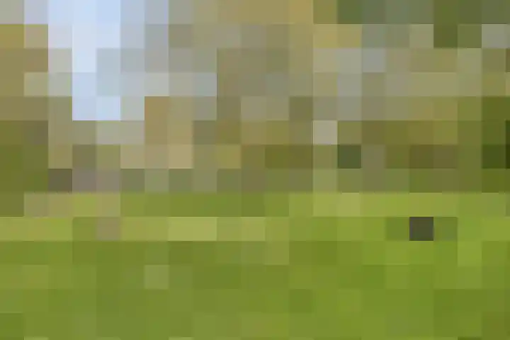 Dokter van Stratenweg 318 Gorinchem thumbnail 4