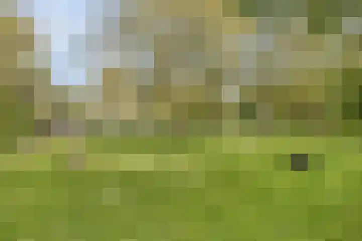 Dokter van Stratenweg 318 Gorinchem thumbnail 43