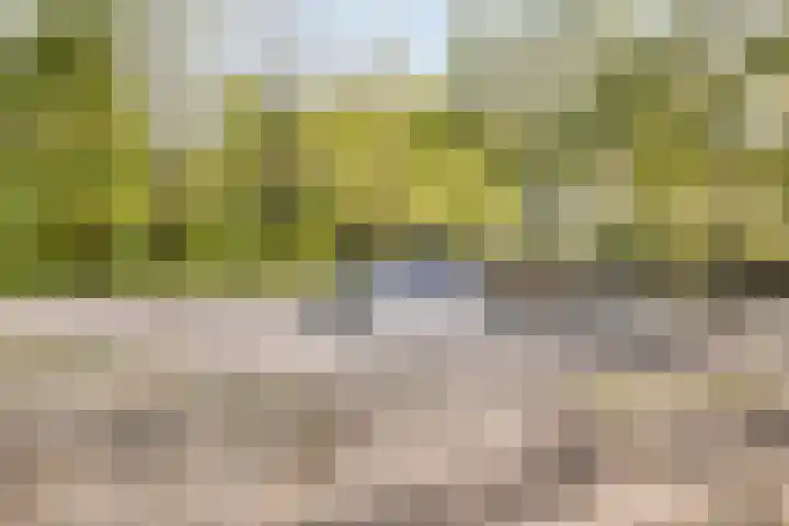 Dokter van Stratenweg 318 Gorinchem thumbnail 44